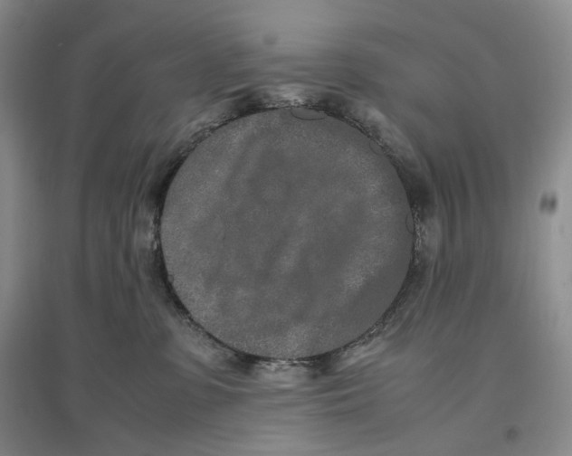 X0000096670331200802261458