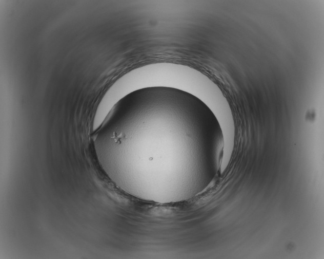 X0000096670332200802261458