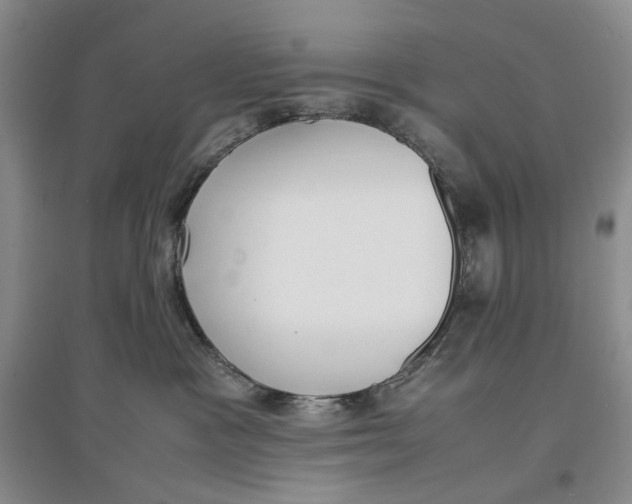 X0000096670333200802261458