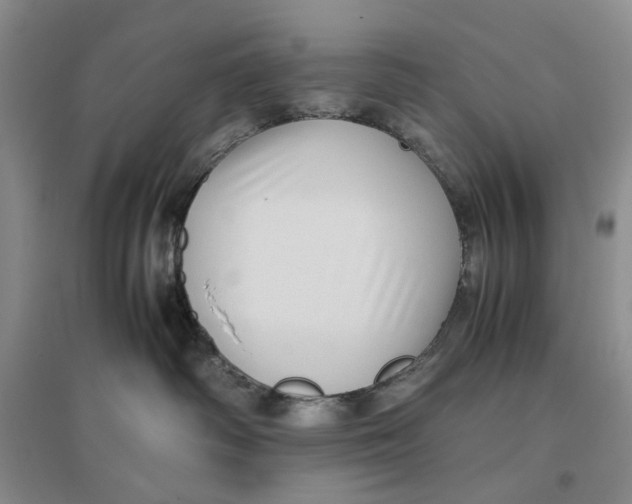 X0000096670334200802261458
