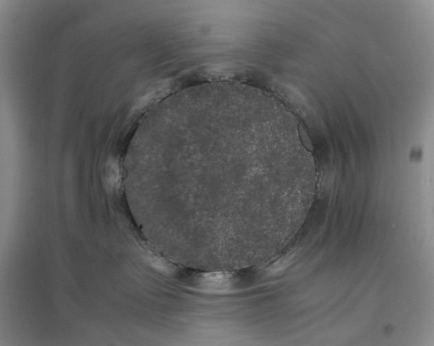 X0000096670335200802261458