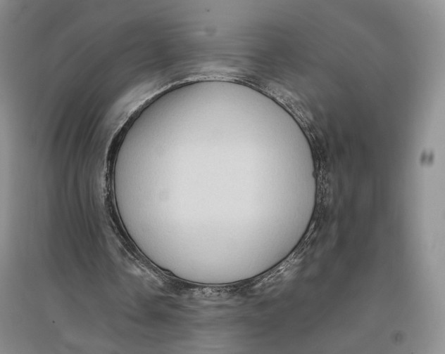 X0000096670338200802261457