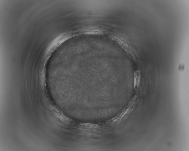X0000096670339200802261457