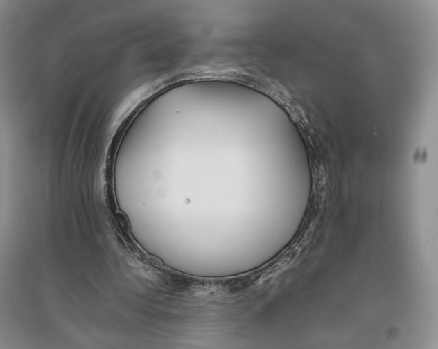X0000096670340200802261457