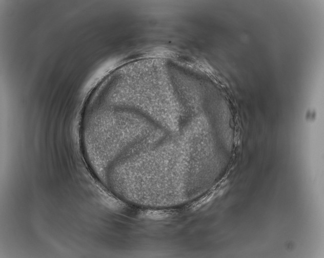 X0000096670341200802261457