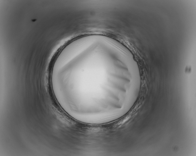 X0000096670342200802261457