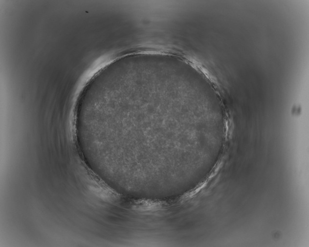 X0000096670343200802261457