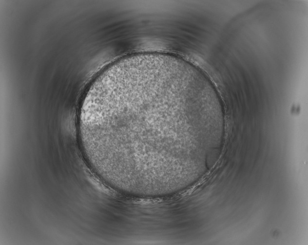 X0000096670345200802261457