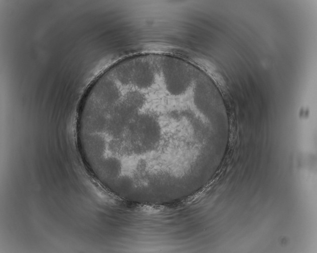 X0000096670346200802261457
