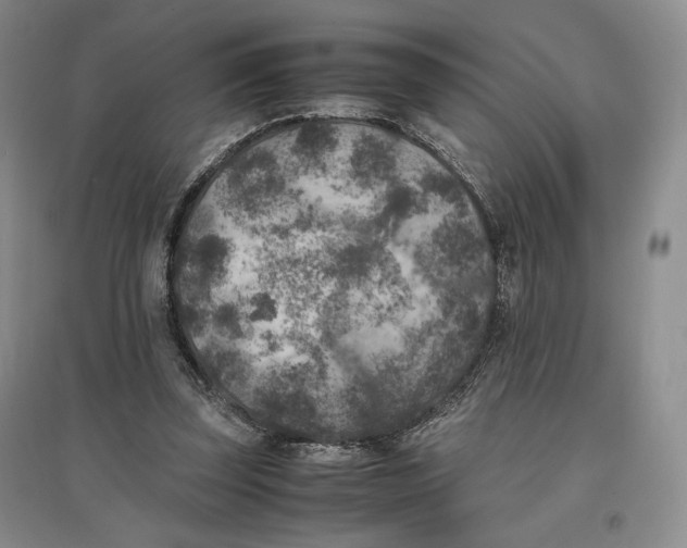 X0000096670347200802261457