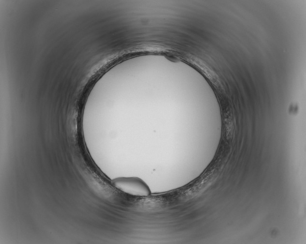 X0000096670350200802261458
