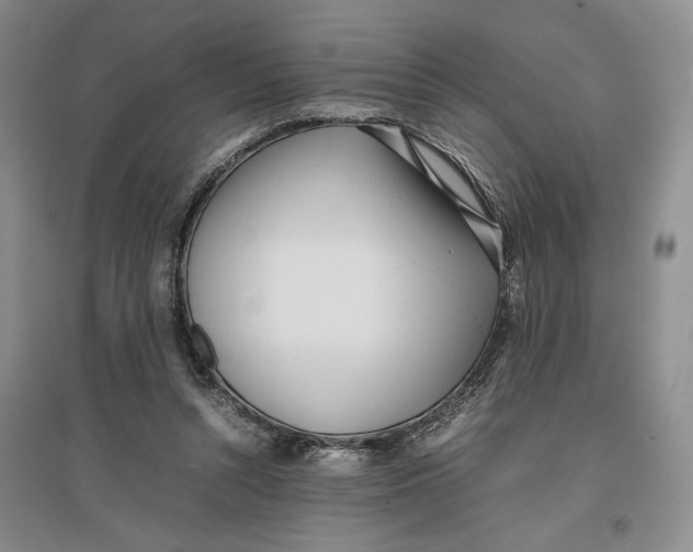X0000096670352200802261458