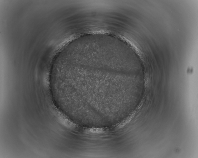 X0000096670353200802261458