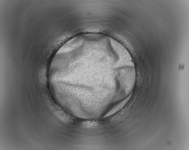 X0000096670354200802261458