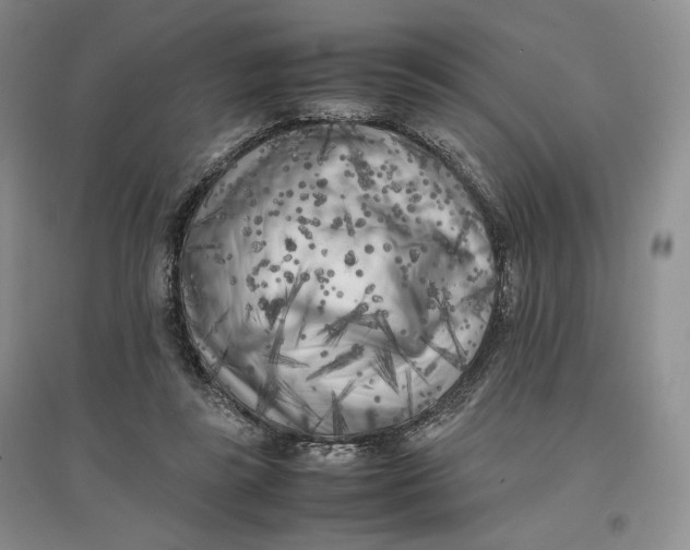 X0000096670355200802261458