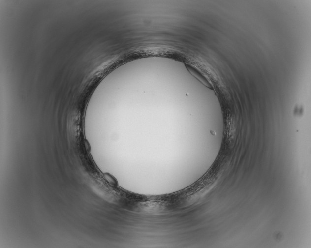 X0000096670356200802261458