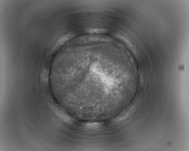 X0000096670357200802261458