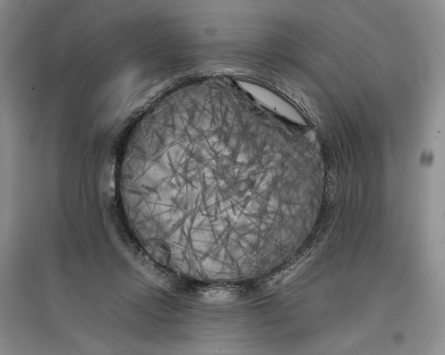 X0000096670358200802261458