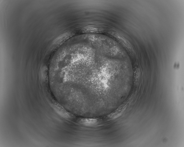 X0000096670361200802261458