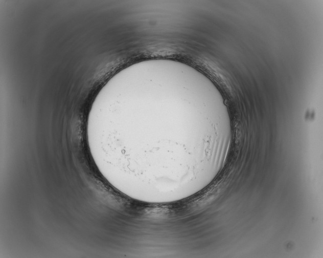 X0000096670362200802261458