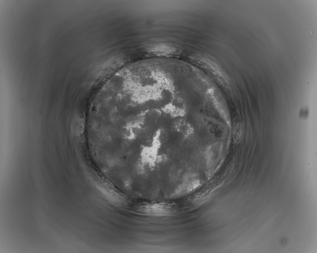 X0000096670365200802261458