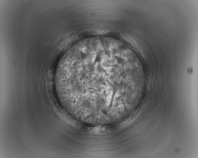 X0000096670366200802261458