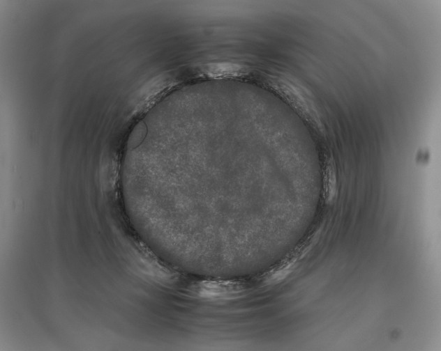 X0000096670367200802261458