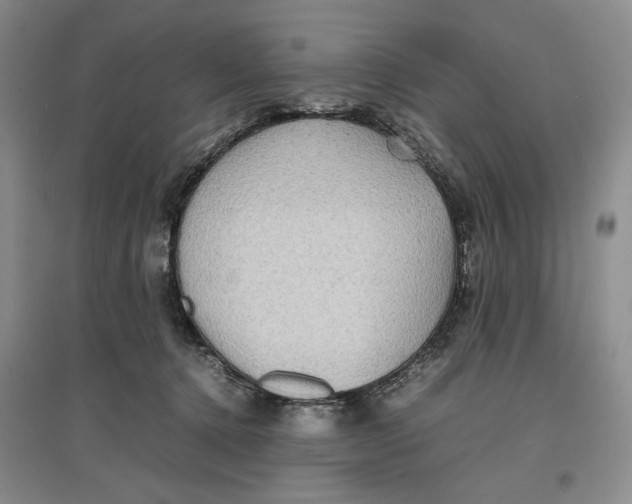 X0000096670368200802261458