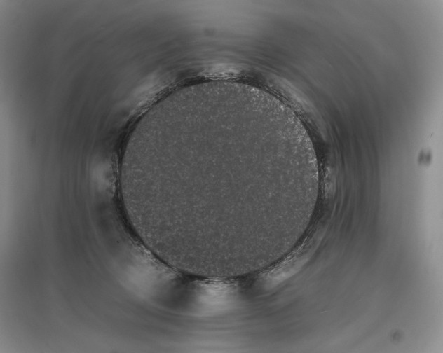 X0000096670370200802261458