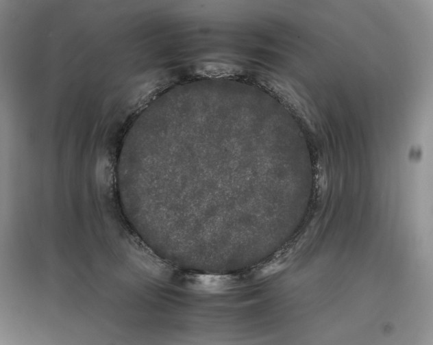 X0000096670371200802261458