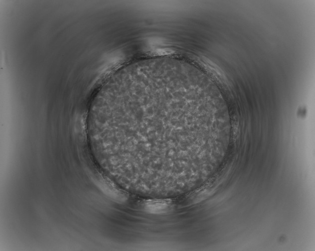 X0000096670373200802261458