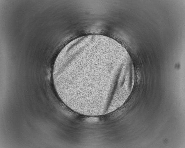 X0000096670374200802261458