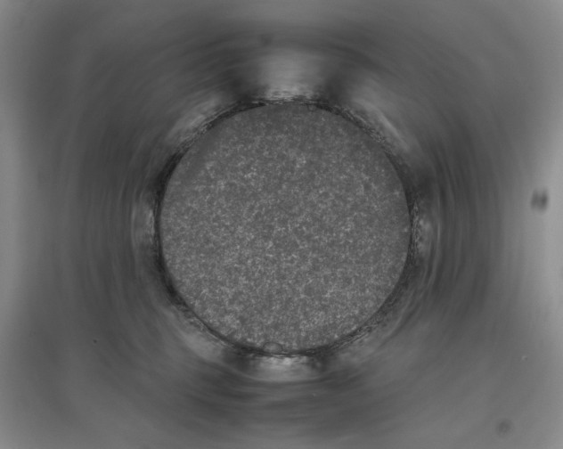 X0000096670375200802261458