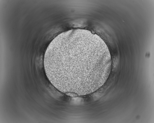 X0000096670376200802261458