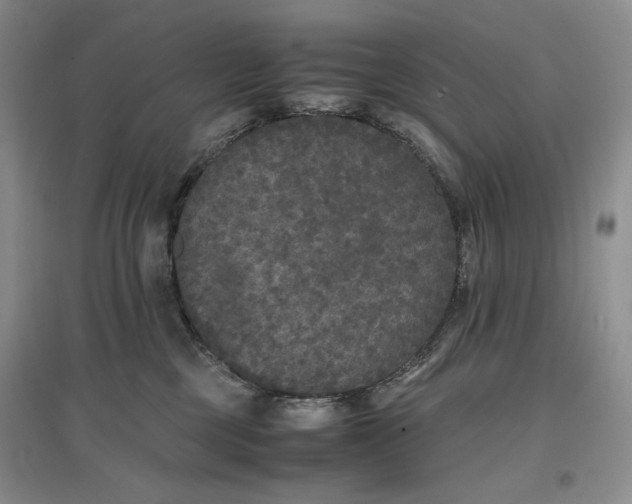 X0000096670377200802261458