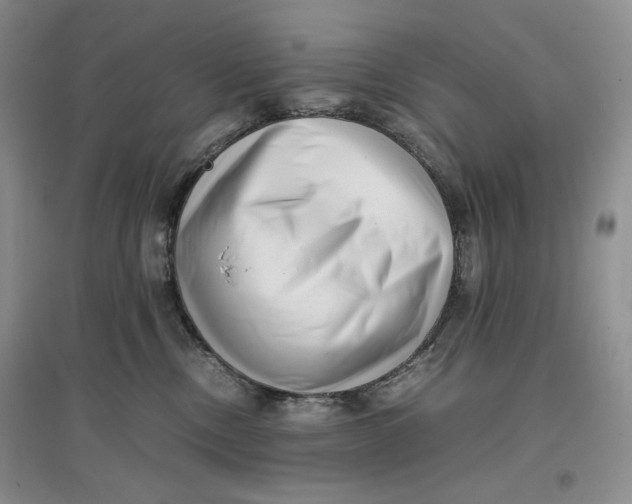 X0000096670378200802261458