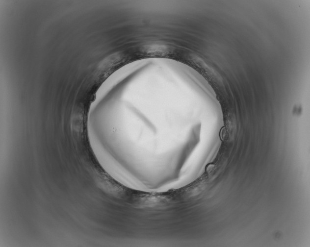 X0000096670379200802261458