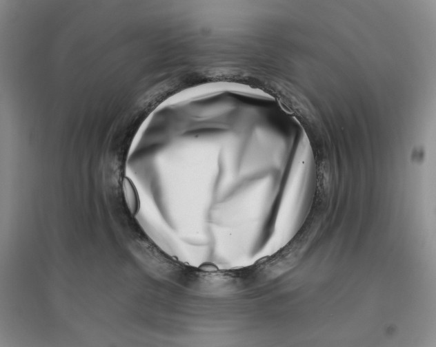 X0000096670380200802261458