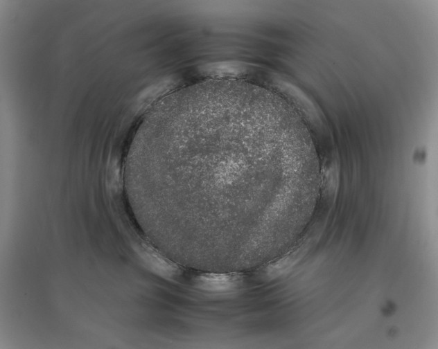 X0000096670381200802261458