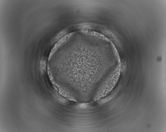 X0000096670382200802261458