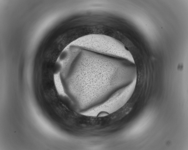 X0000096670383200802261458