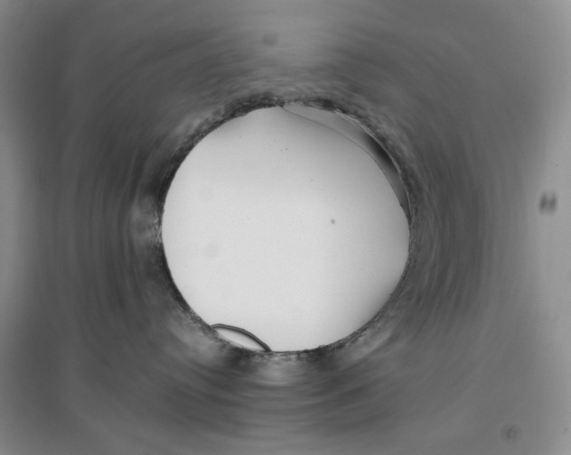 X0000096670384200802261458