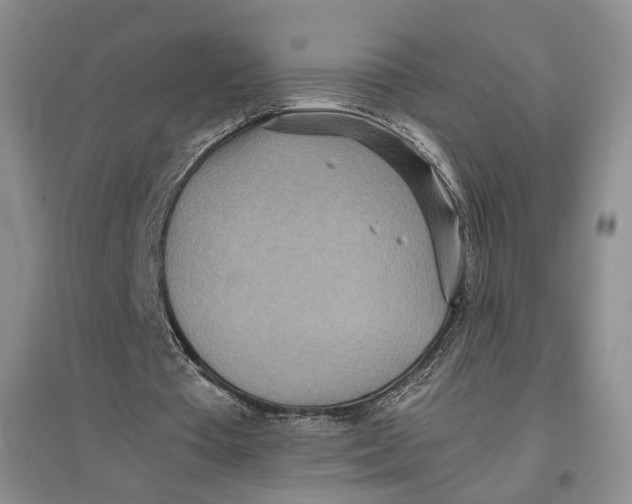 X0000096670385200802261457