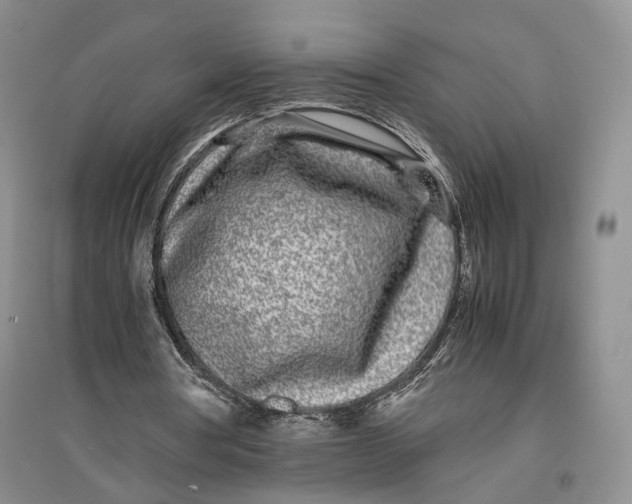 X0000096670386200802261457