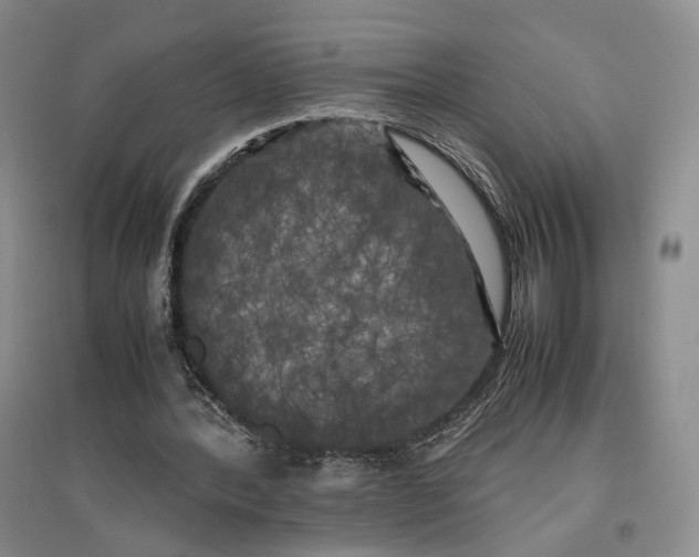 X0000096670388200802261457