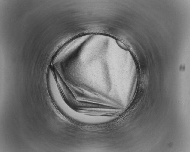 X0000096670389200802261457