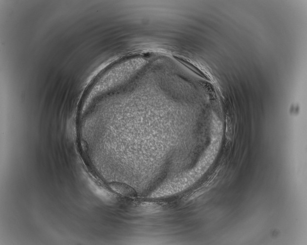 X0000096670390200802261457