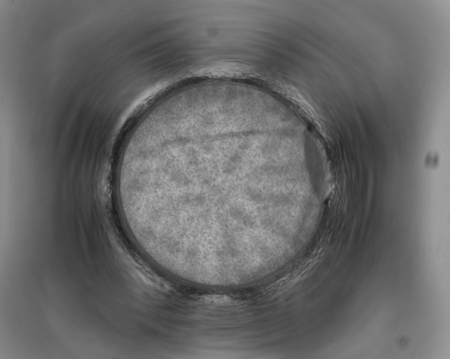 X0000096670392200802261457
