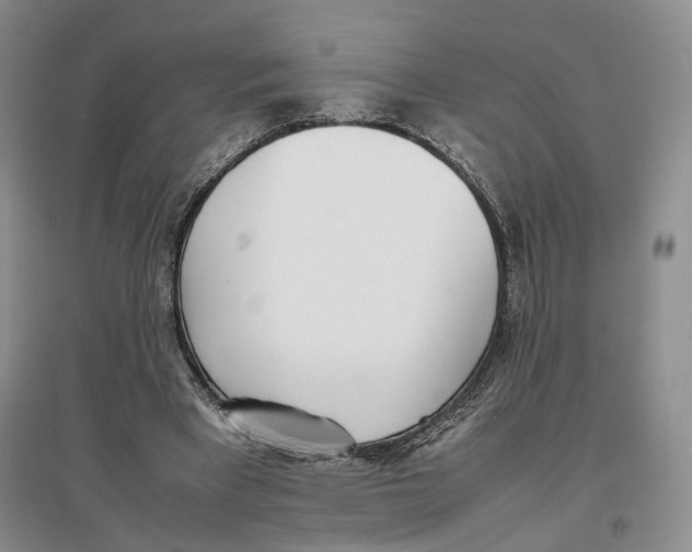 X0000096670393200802261457