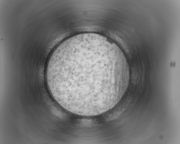 X0000096670394200802261457